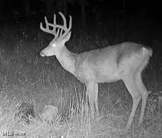 18344 Modoc Road, Glouster, OH 45732 - Image #2