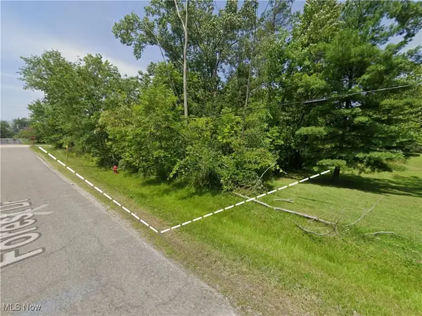 W 130th Street, Hinckley, OH 44233