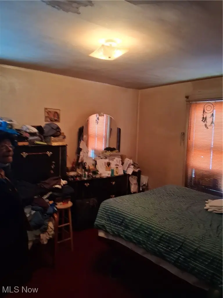 8714 Birchdale Avenue, Cleveland, OH 44106 - Image #3