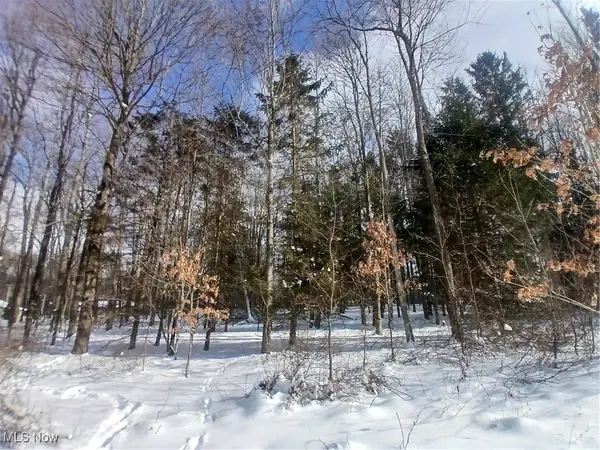 35224 Hull Road, Salineville, OH 43945