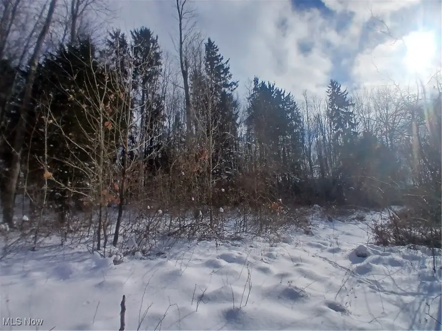 35224 Hull Road, Salineville, OH 43945 - #2