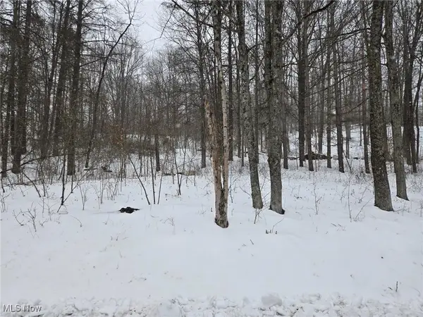 Scott Road, Stockport, OH 43787