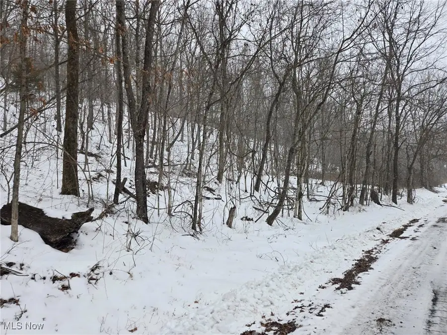 Scott Road, Stockport, OH 43787 - #3