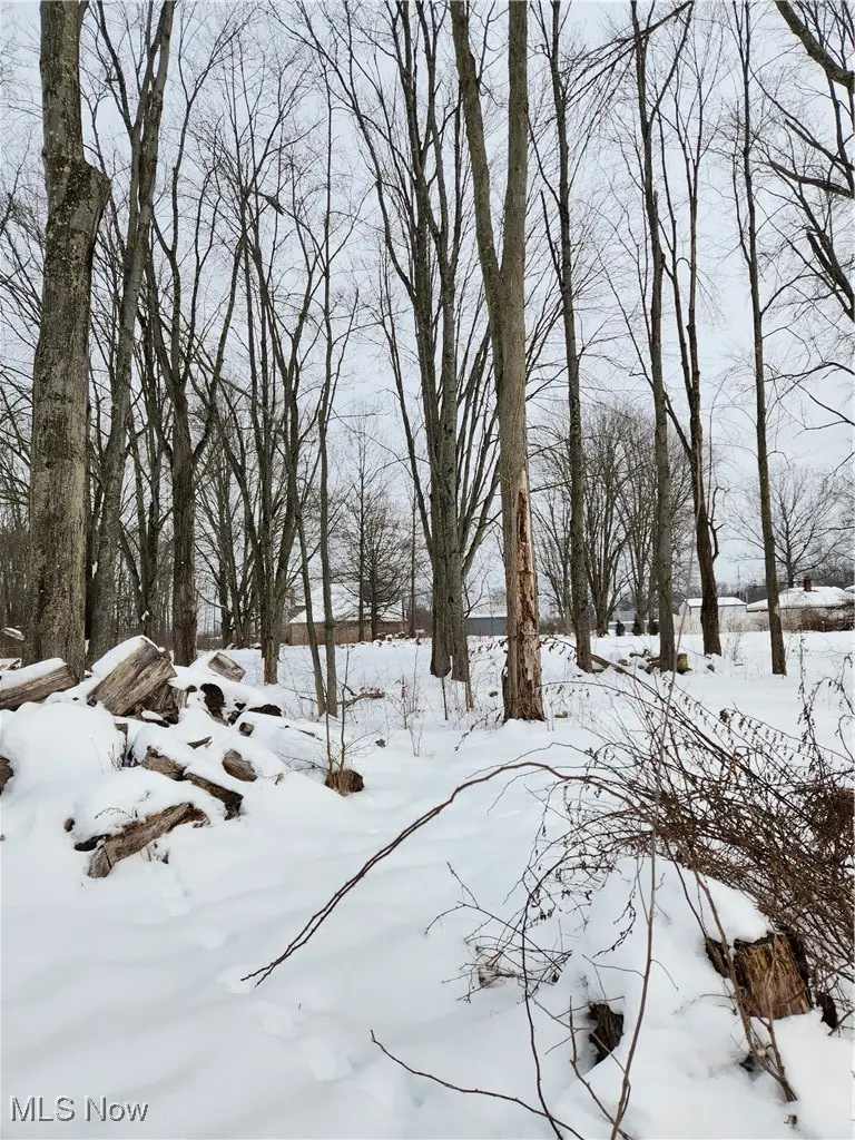 Royalton Road, Columbia Station, OH 44028 - #2