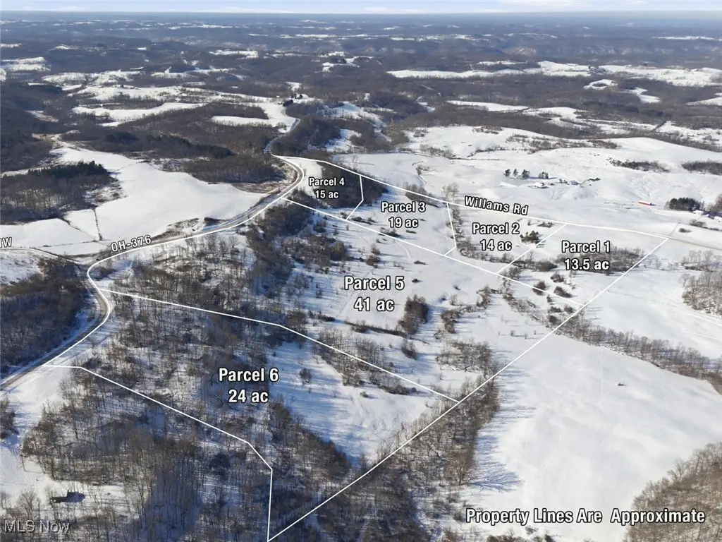 Parcel 1 Willimas Road, McConnelsville, OH 43756 - Image #1