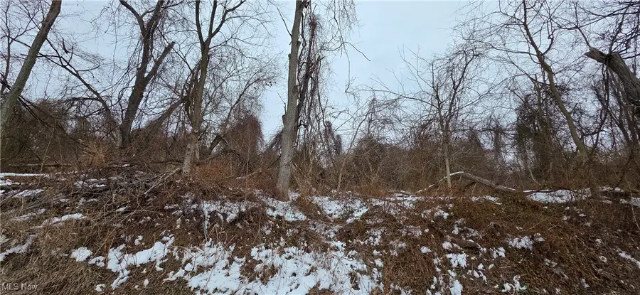 CR32 Kilgore Road Road, Bellaire, OH 43906 - Image #3