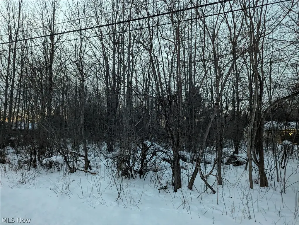 Morgan Road, Montville, OH 44064 - #1