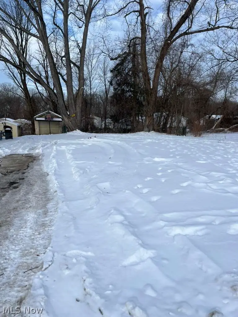 784 Shoshone Avenue, Akron, OH 44305 - #3