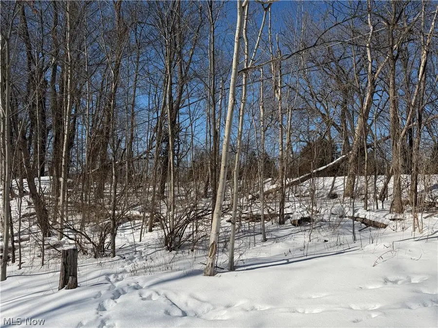 Old Weymouth Road, Medina, OH 44256 - #2