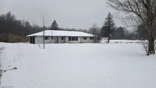 10304 State Route 303, Windham, OH 44288 - #1