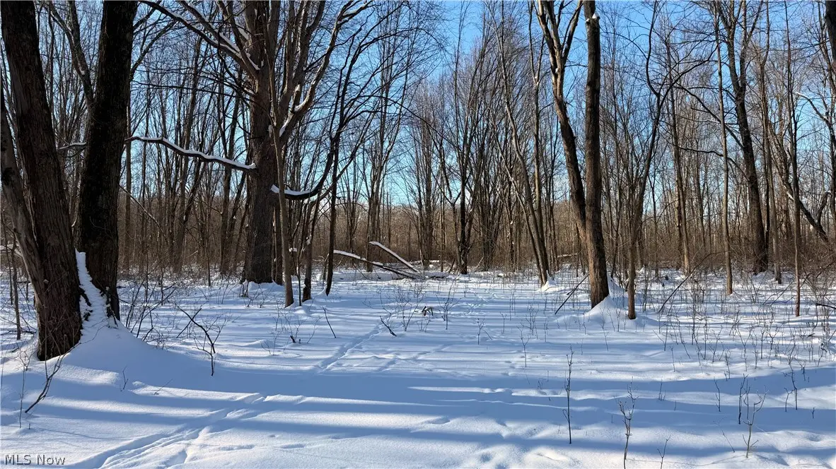 Progress Boulevard, Brimfield Township, OH 44240 - #1