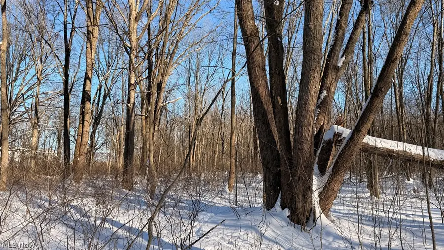 Progress Boulevard, Brimfield Township, OH 44240 - #2