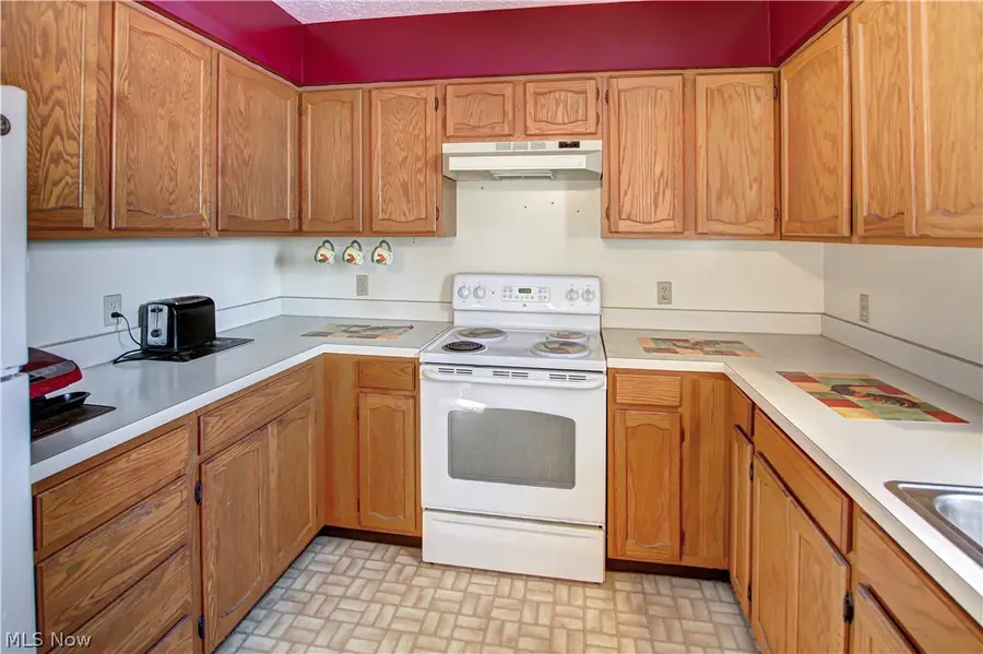 42113 Meadow Lane, Lagrange, OH 44050 - #3