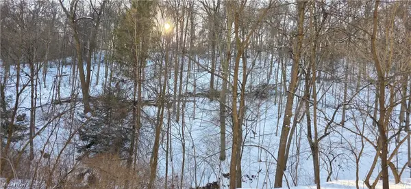 71480 Mercer Road, Martins Ferry, OH 43935