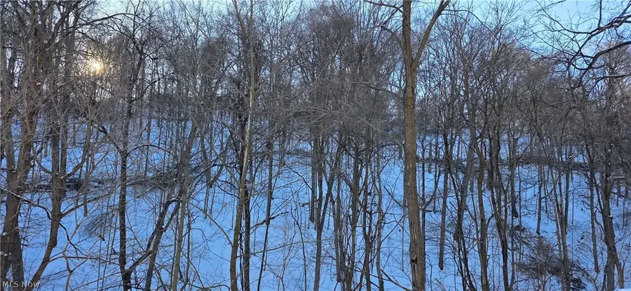 71480 Mercer Road, Martins Ferry, OH 43935 - #2