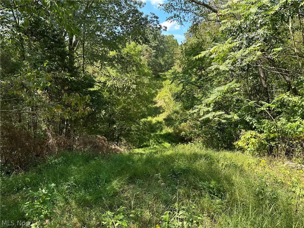 8292 State Route 60, Lowell, OH 45744 - #1