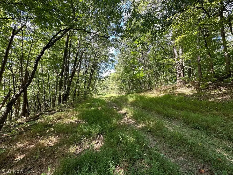 8292 State Route 60, Lowell, OH 45744 - #2