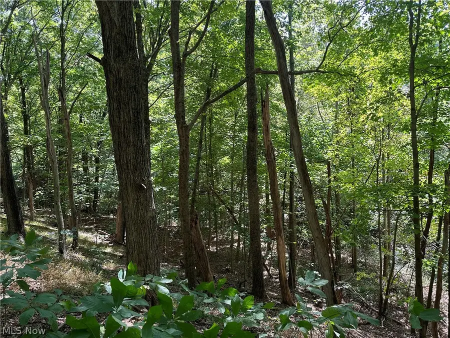 8292 State Route 60, Lowell, OH 45744 - #3