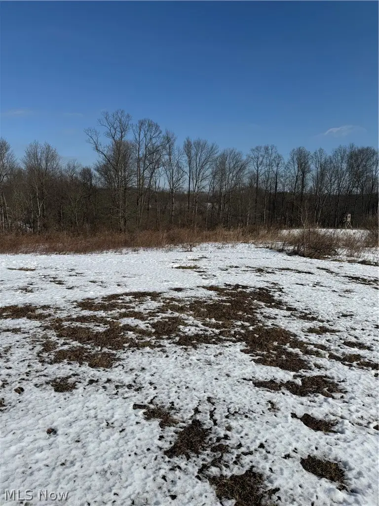 11973 Virtue Road, Monroe, OH 43716 - #3