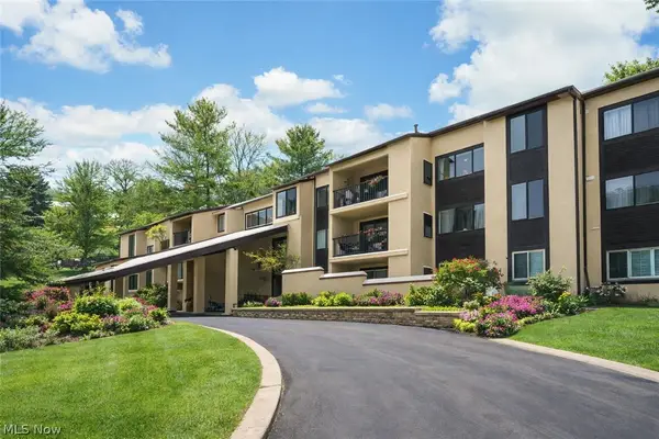 1006 Bunker Drive #203, Fairlawn, OH 44333