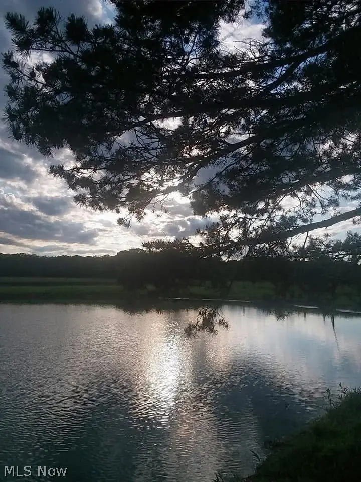 Firestone Road, Homerville, OH 44235 - #3