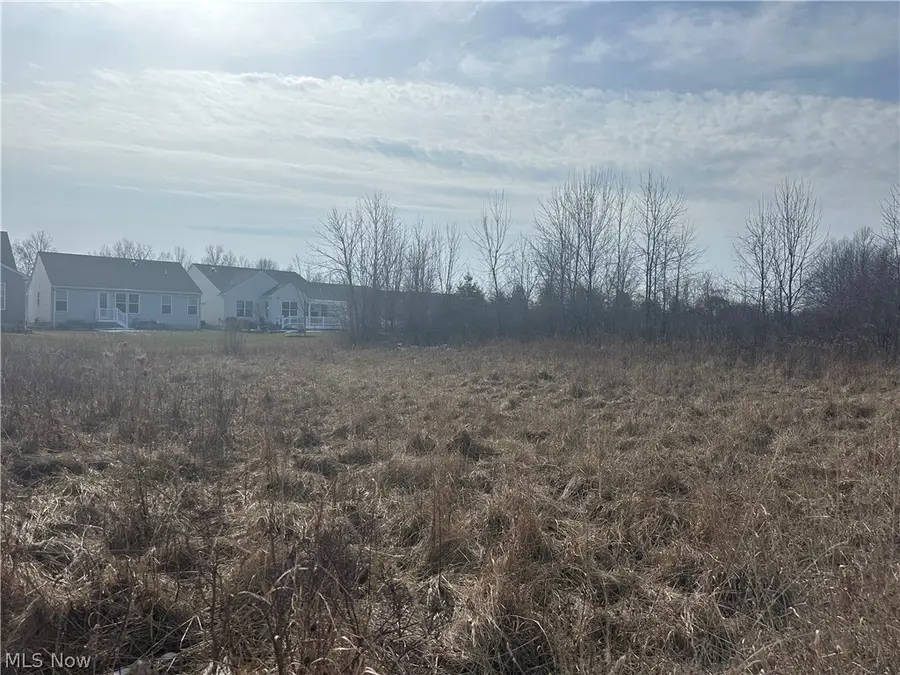 Charles Drive, Lorain, OH 44053 - #3