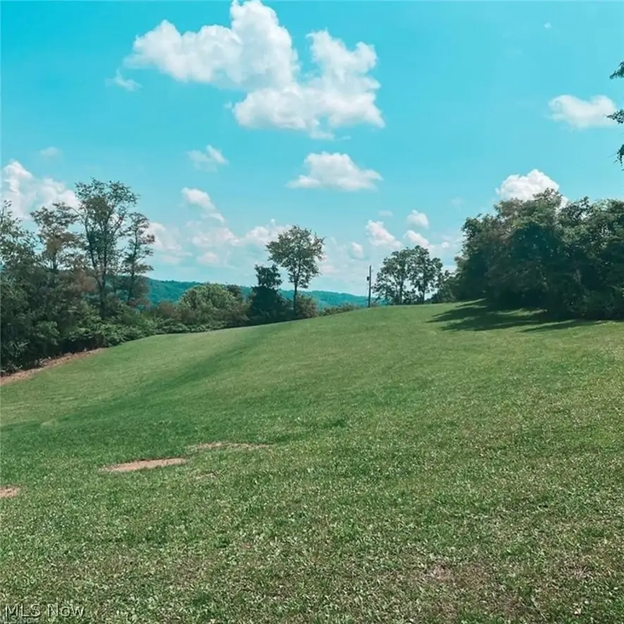 TBD Alexander Road, Bridgeport, OH 43912 - #2