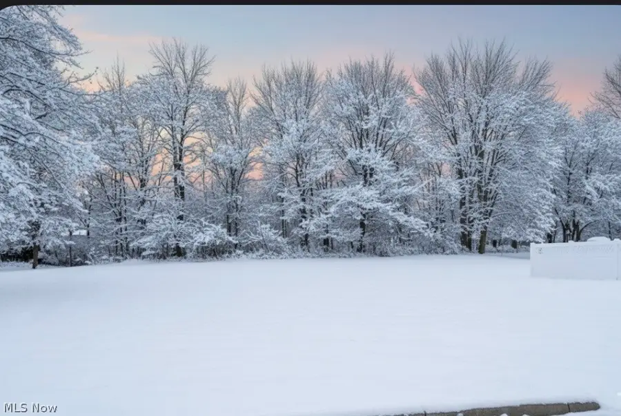 9 Willow Way, Canfield, OH 44406 - #2