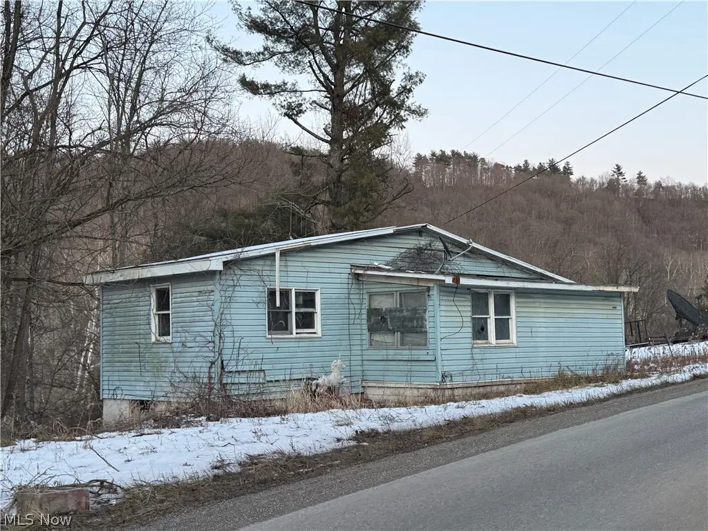 53244 Barton Blaine Road, Saint Clairsville, OH 43950 - #1