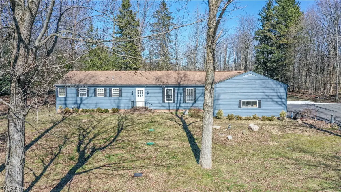 11180 Whitewood Drive, Newbury, OH 44065 - #1