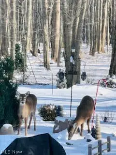 179 Herrmann Drive, Avon Lake, OH 44012 - #2