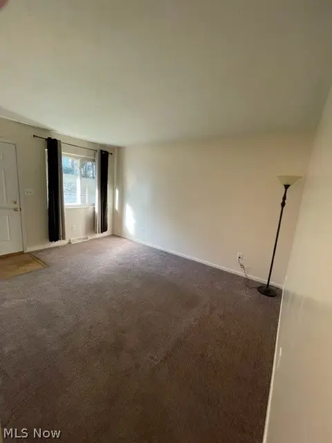 349/351, 353/355 Cluster Avenue, Akron, OH 44305 - #3