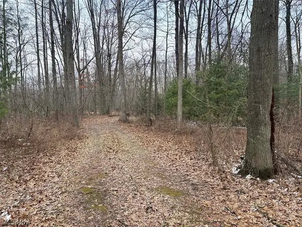 Greenbower Ne Street, Alliance, OH 44601