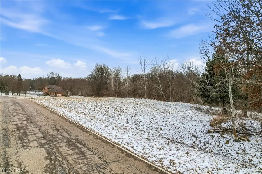 Brookhollow Drive, Warren, OH 44481 - #2