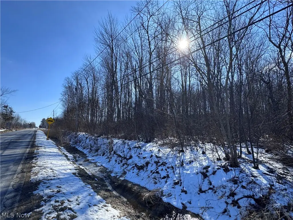 V/L 2 Leroy Center Road, Leroy, OH 44077 - #1