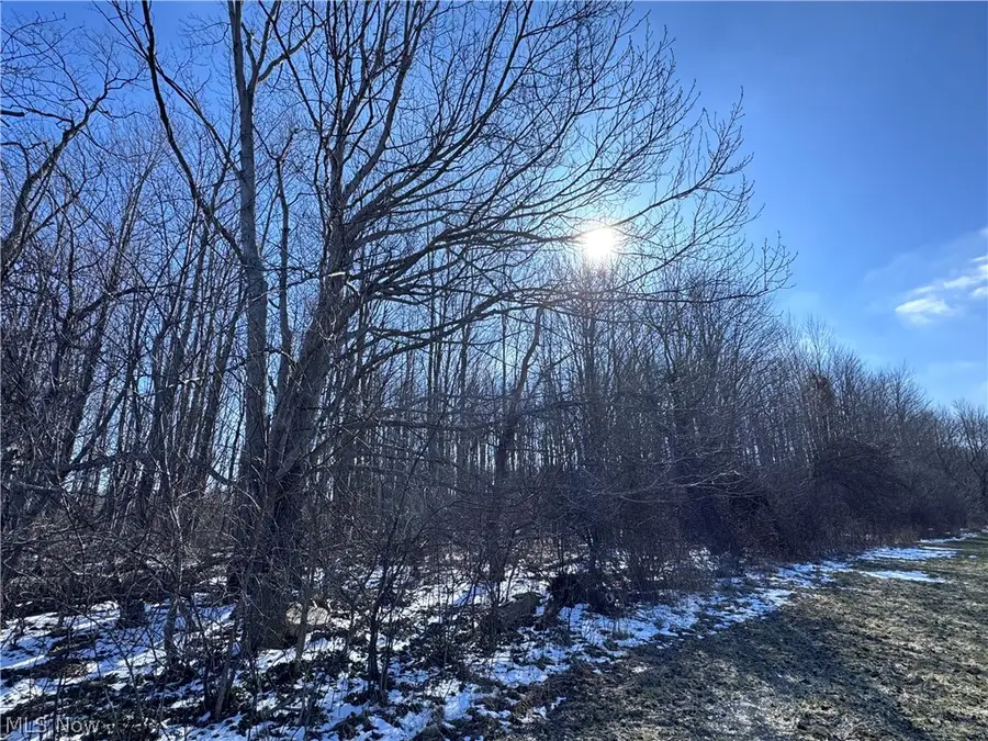 V/L 2 Leroy Center Road, Leroy, OH 44077 - #3