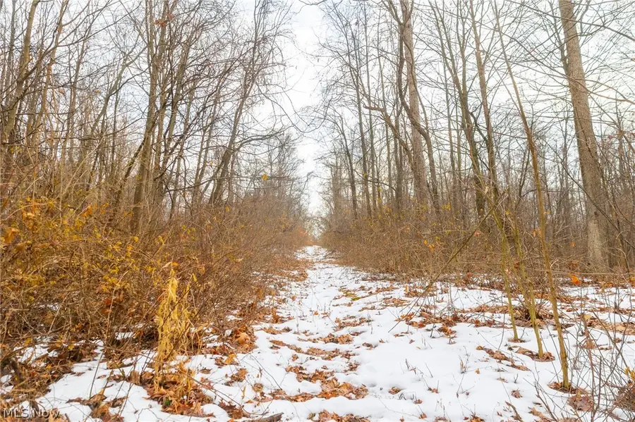 7389 Doylestown Road, Sterling, OH 44276 - #3