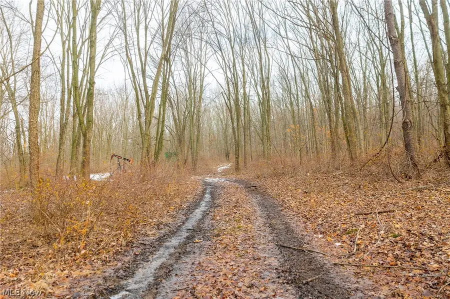 7389 Doylestown Road, Sterling, OH 44276 - #3