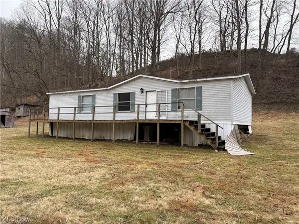 161 Cow Lane, Arnoldsburg, WV 25234