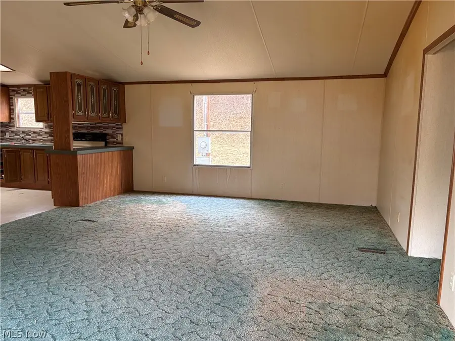 161 Cow Lane, Arnoldsburg, WV 25234 - #2