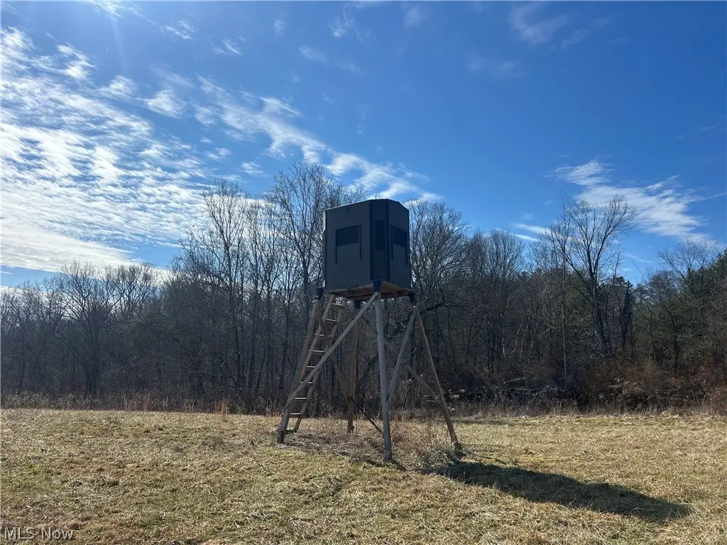 Ridgeview Lane, Blue Rock, OH 43727 - #1