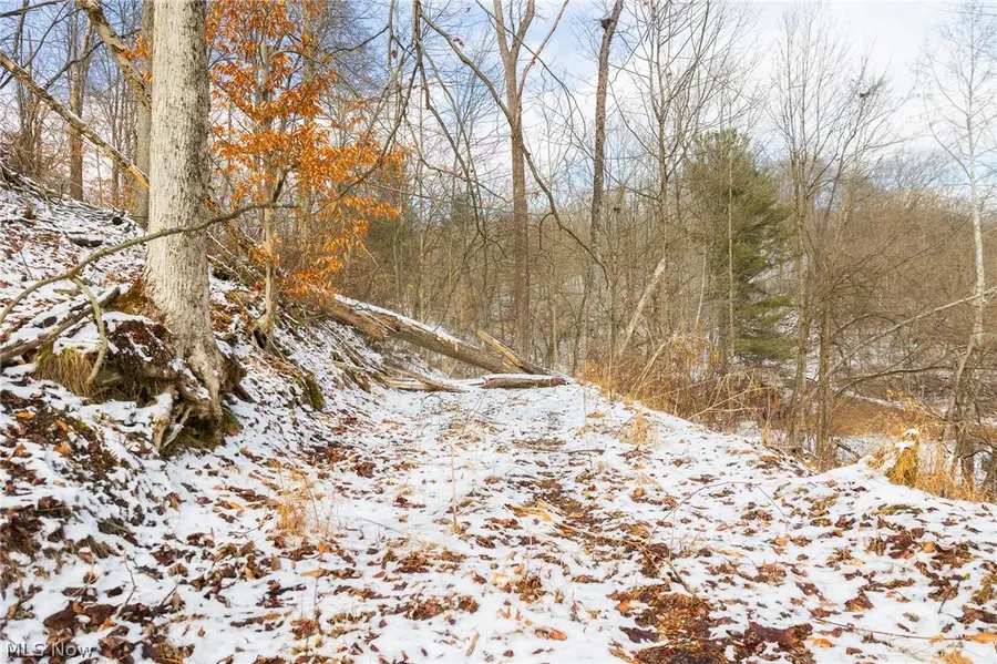 15500 Hunter Road, Danville, OH 43014 - #2