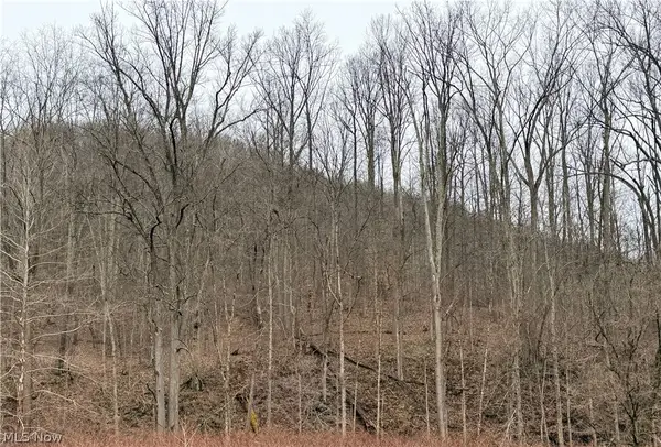 Mountaineer Highway, New Martinsville, WV 26155