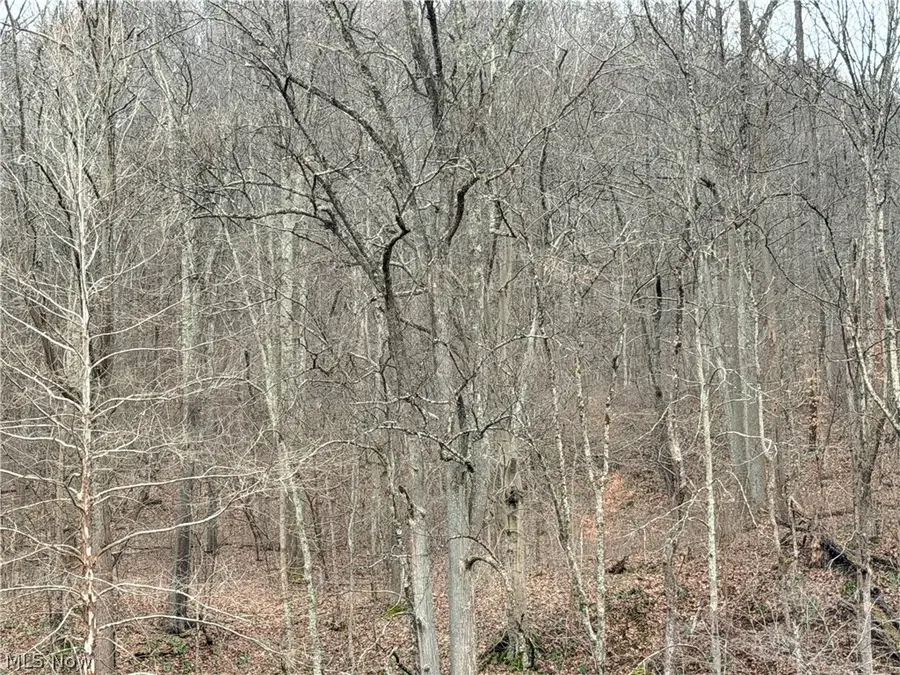 Mountaineer Highway, New Martinsville, WV 26155 - #3