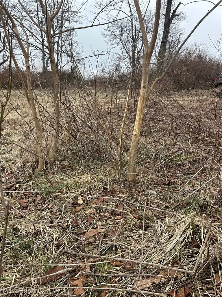 6957 Perrys Den Road, Cumberland, OH 43732 - #2