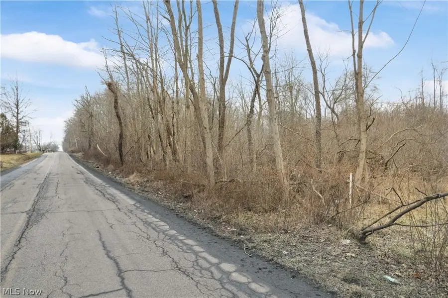 Lane Sw Road, Warren, OH 44481 - #3