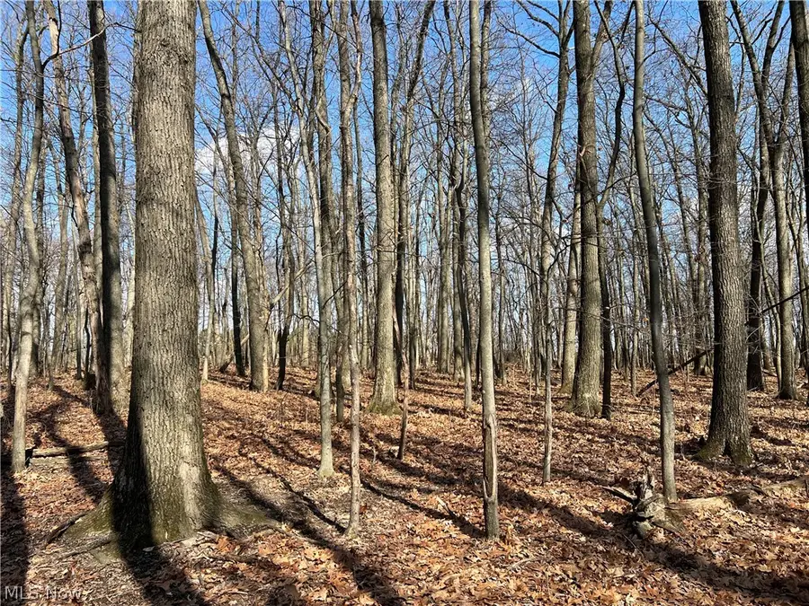 496 Township Road 2402, Lake, OH 44842 - #3