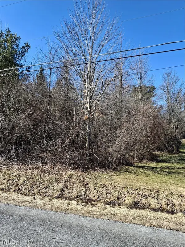 Ballash Road, Medina, OH 44256