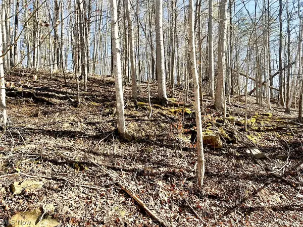 Rd 34, Ripley, WV 25271