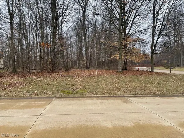 Stony Brook Lane, Wakeman, OH 44889